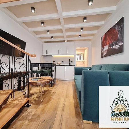 Hotel Bujtina Gjyshi Ilo Tushemisht Zewnętrze zdjęcie