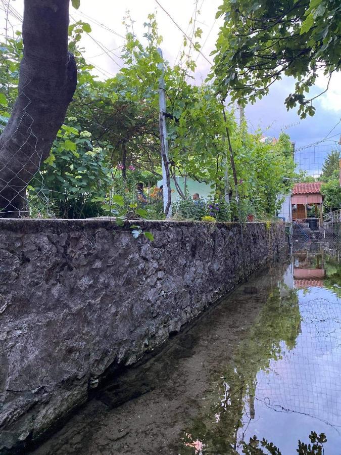 Hotel Bujtina Gjyshi Ilo Tushemisht Zewnętrze zdjęcie