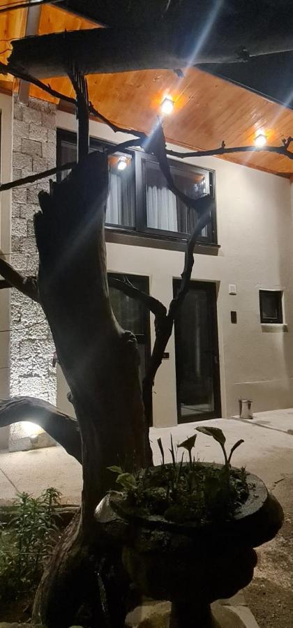 Hotel Bujtina Gjyshi Ilo Tushemisht Zewnętrze zdjęcie